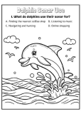 Dolphin Sonar Use Coloring Page 41